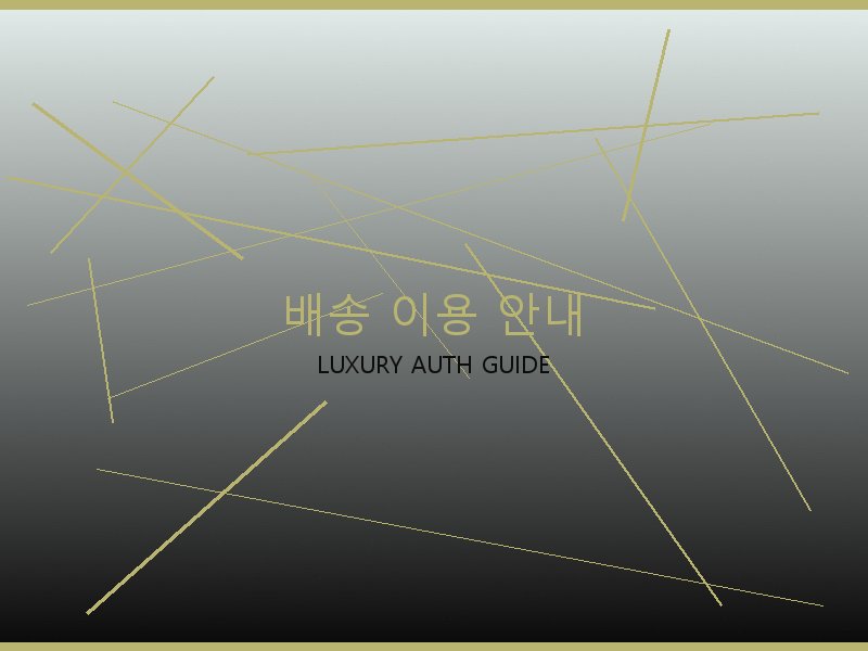 벨루티 디저니 백 레플 배송 이용 안내